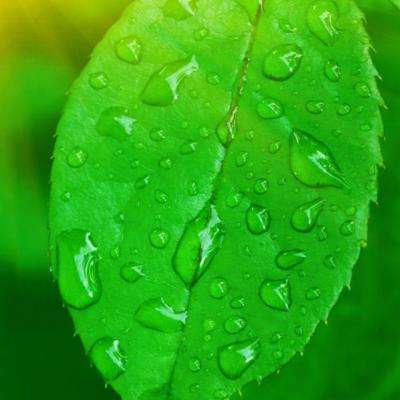 澳门正版资料大全app下载